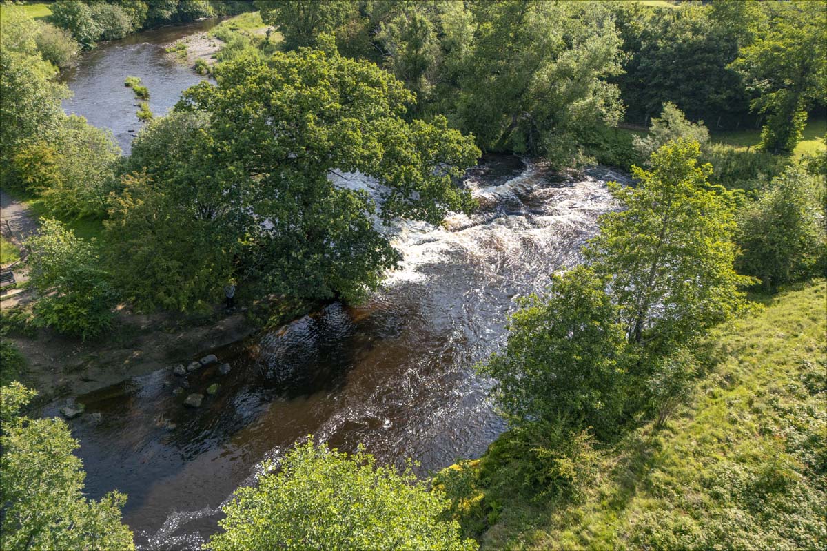 Aerial_013