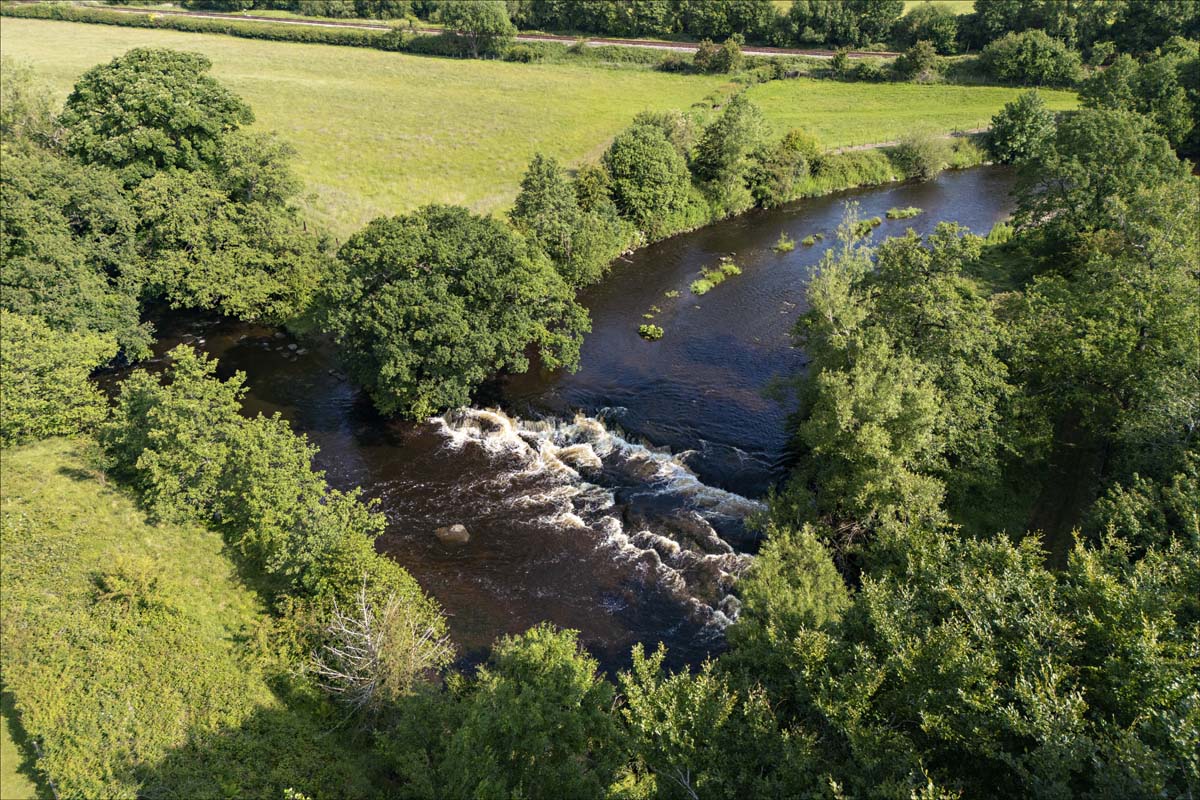 Aerial_014