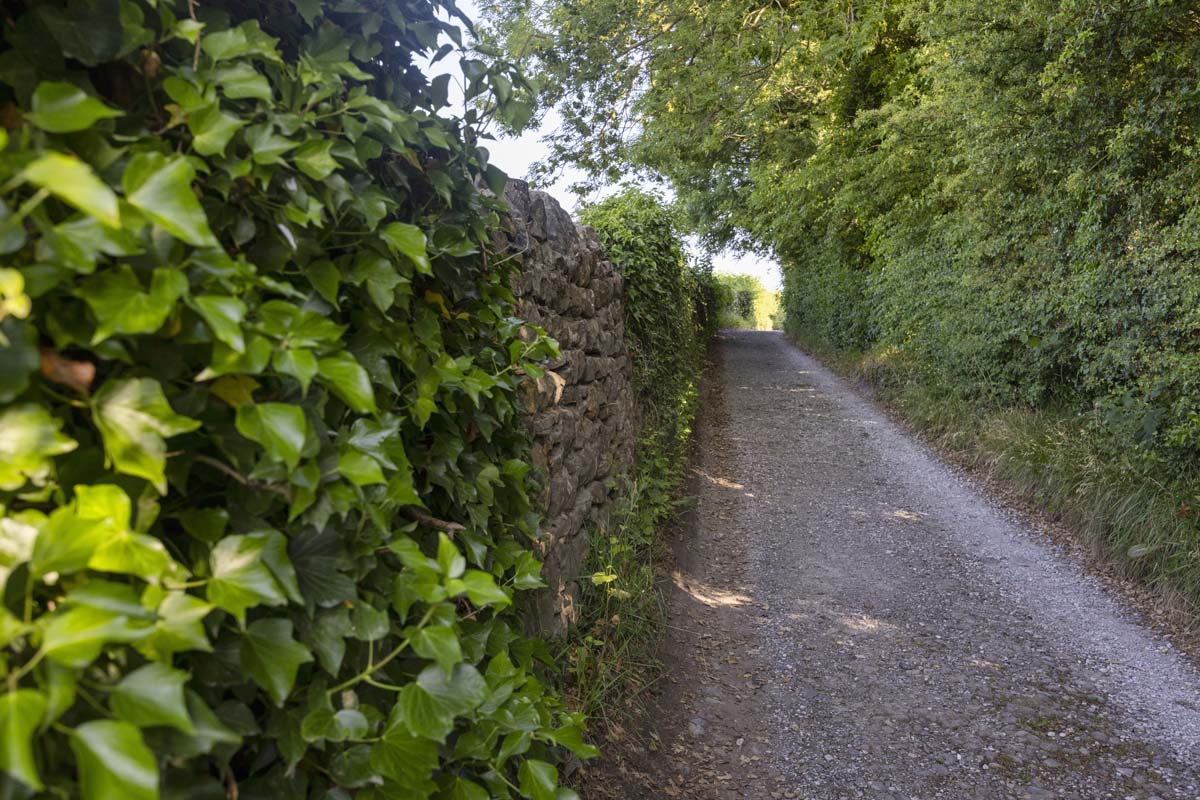 Around Bentham