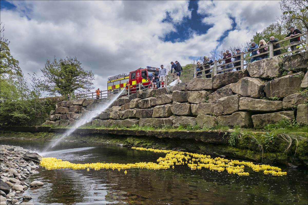 Duck_race028