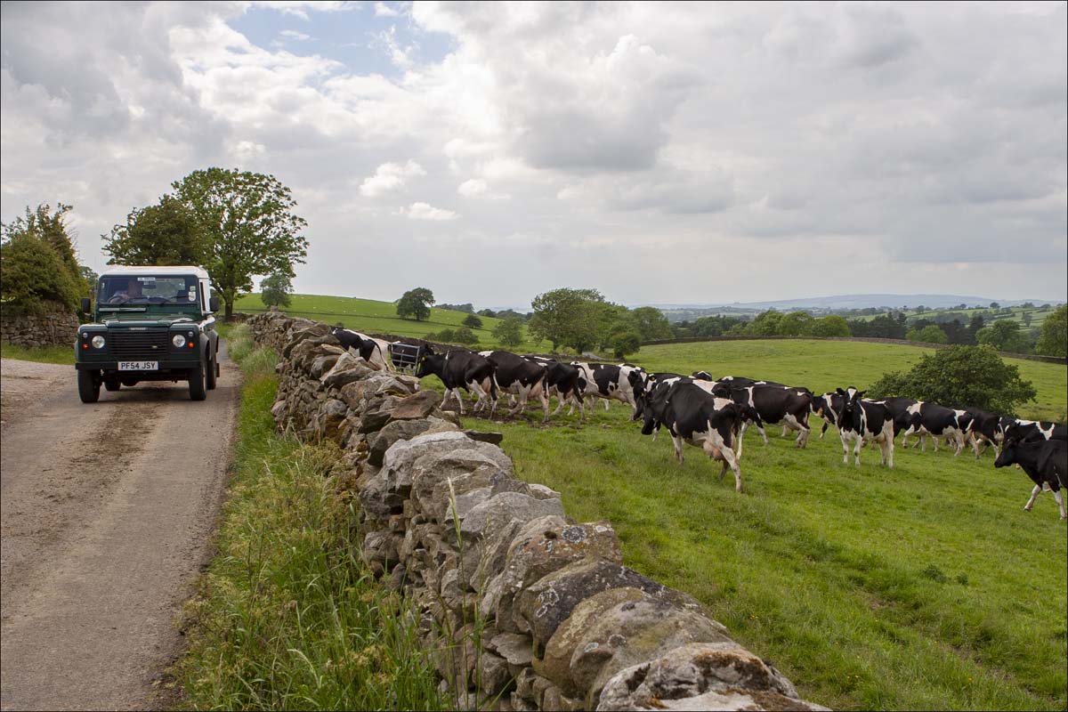 Farming_002