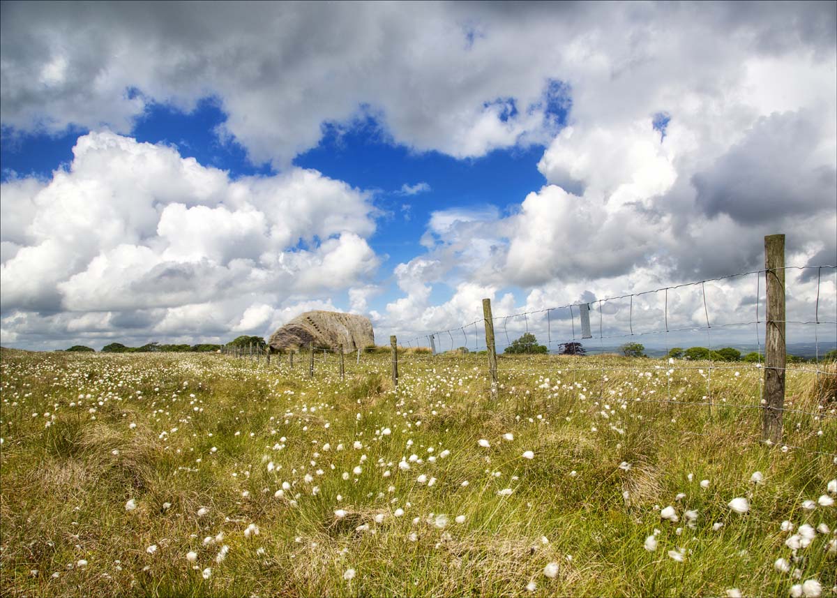 Big_Stone_005