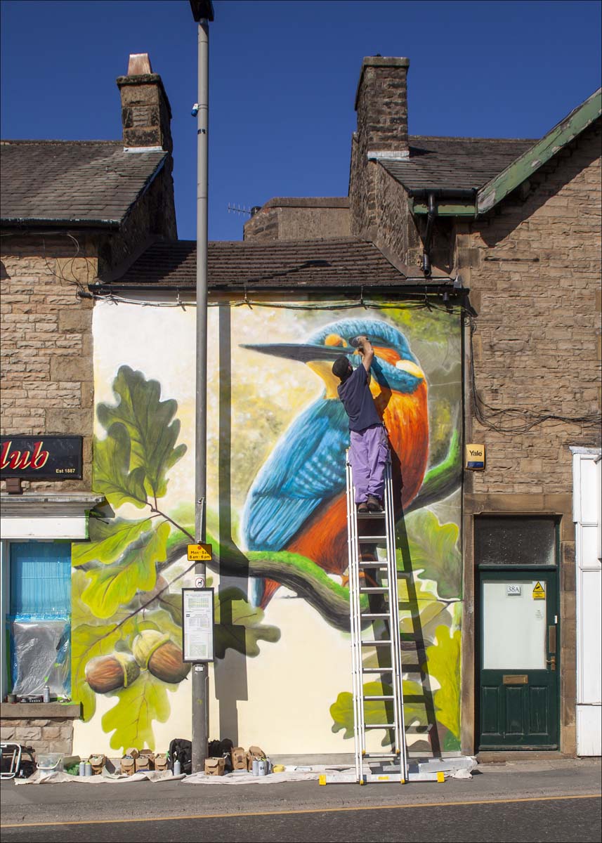 Kingfisher_017