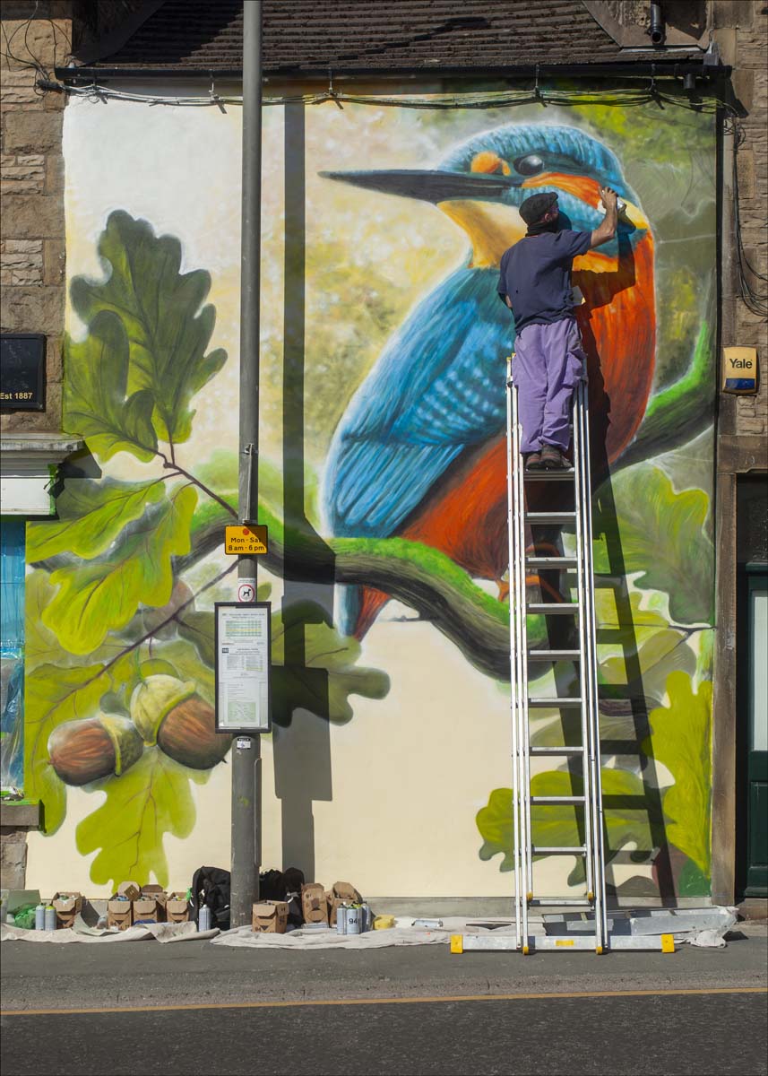 Kingfisher_018
