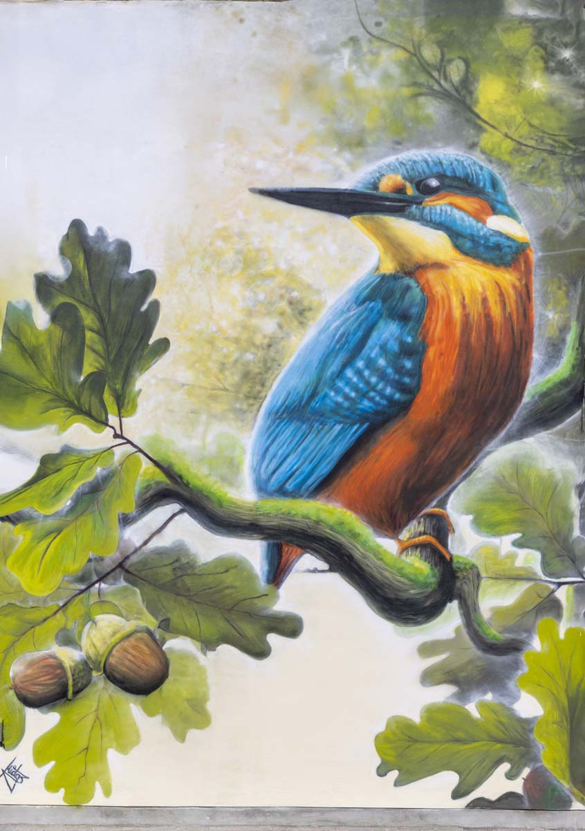 Kingfisher_021