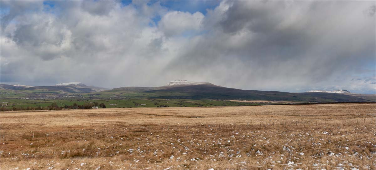 Landscape_005