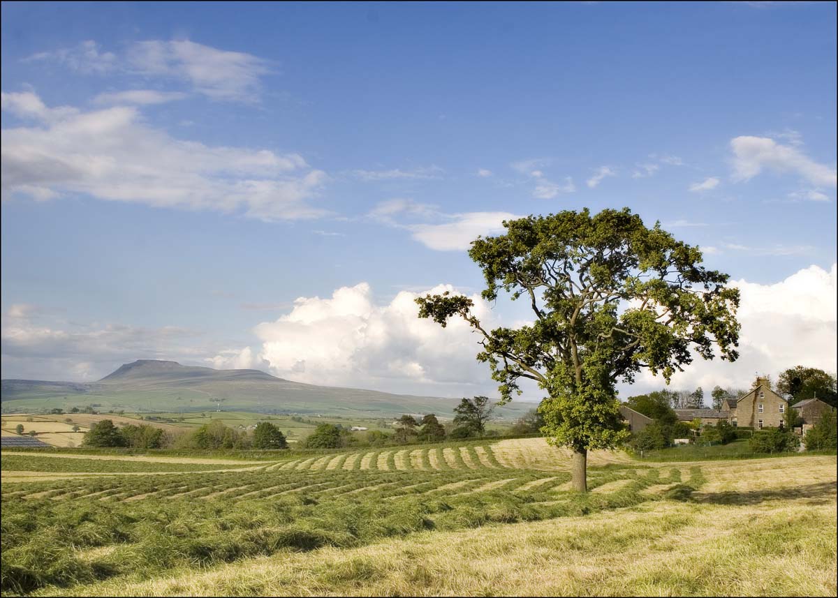 Landscape_010