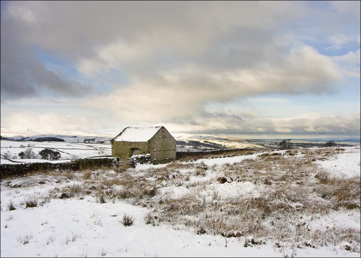 Landscape_013