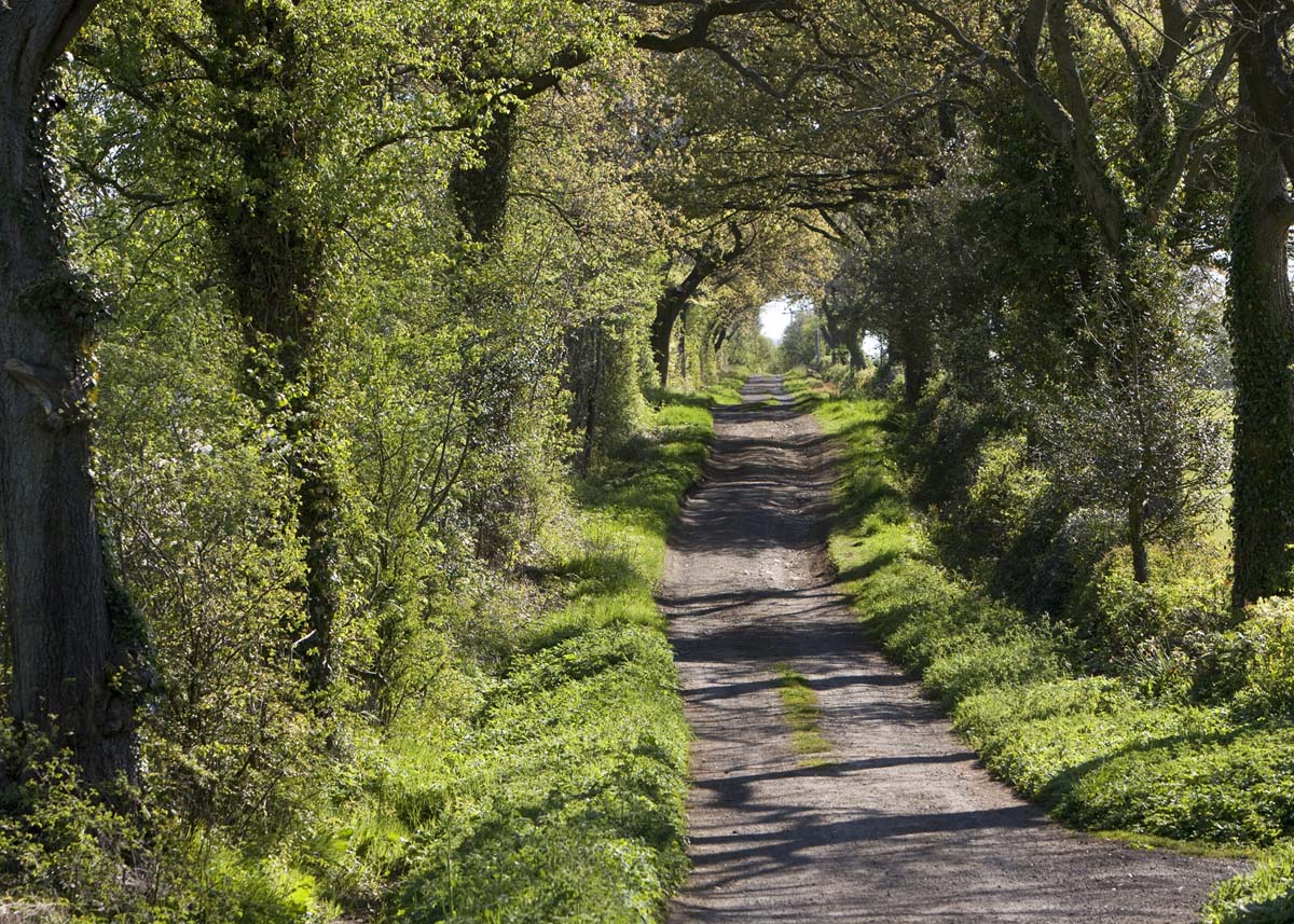 Landscape_025