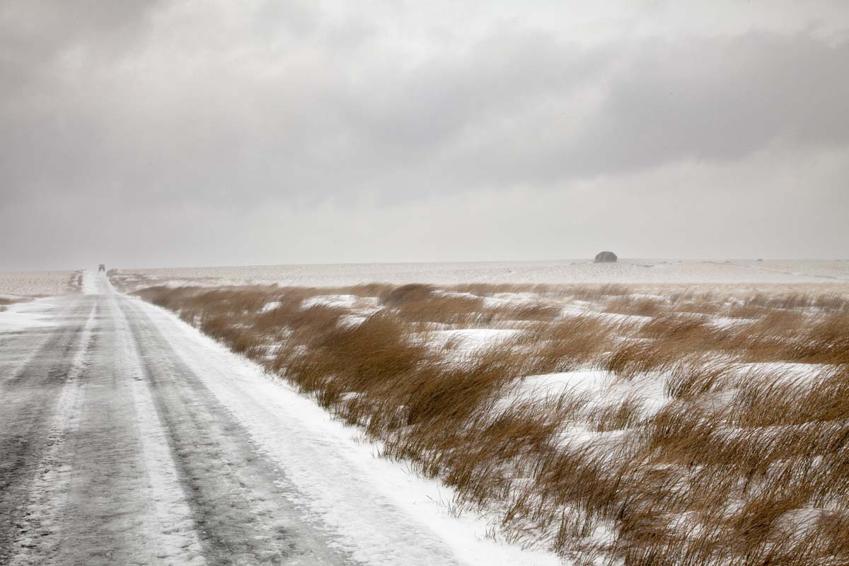 Landscape_026