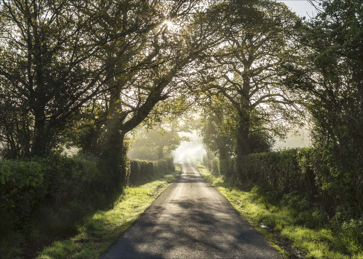 Landscape_027