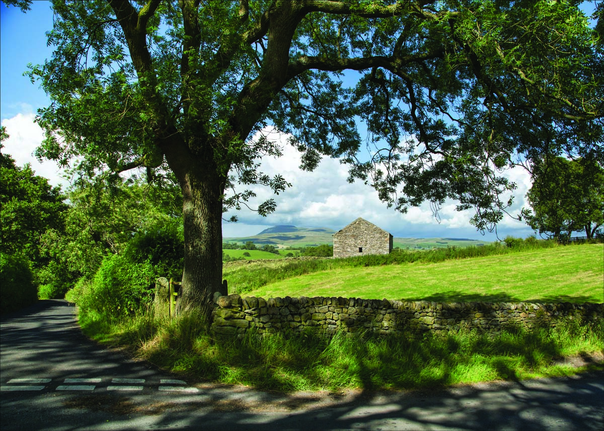 Landscape_029