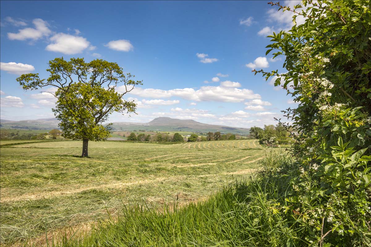 Landscape_033