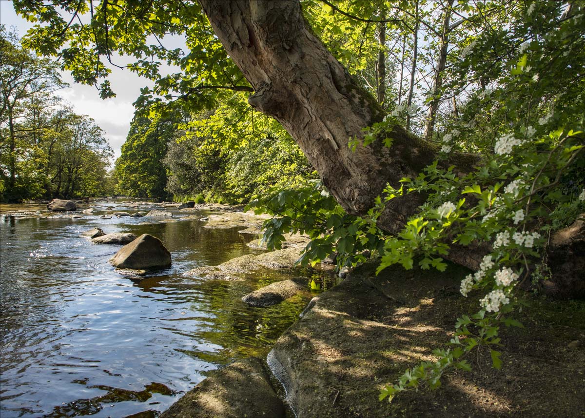 Landscape_038