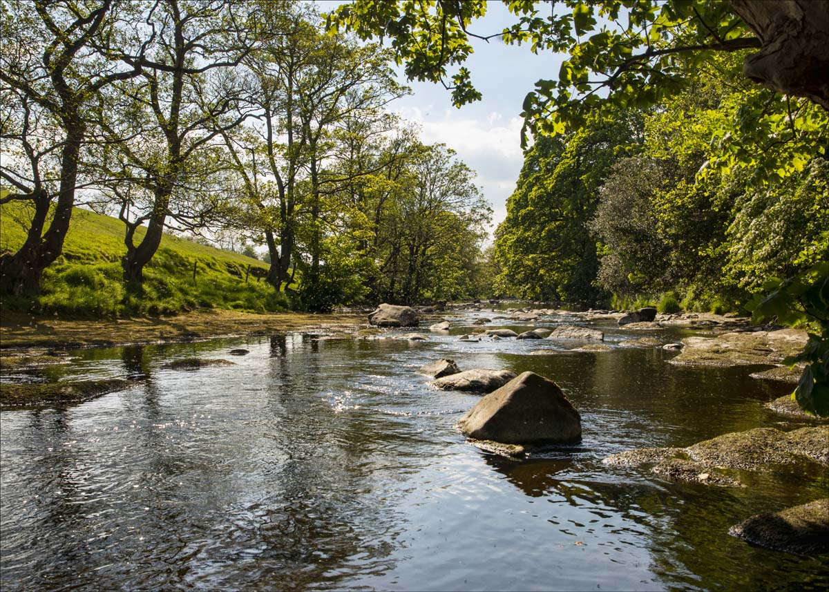 Landscape_039