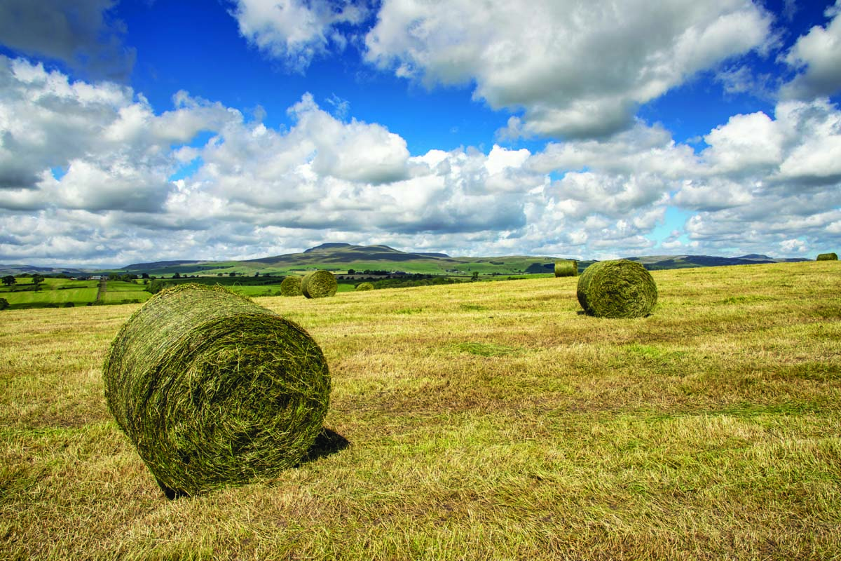 Landscape_041