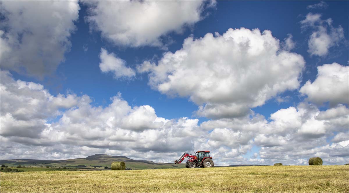 Landscape_042