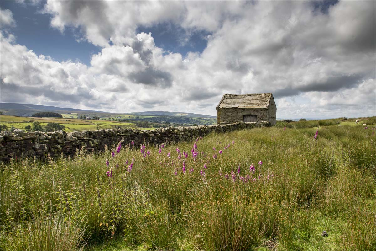 Landscape_043