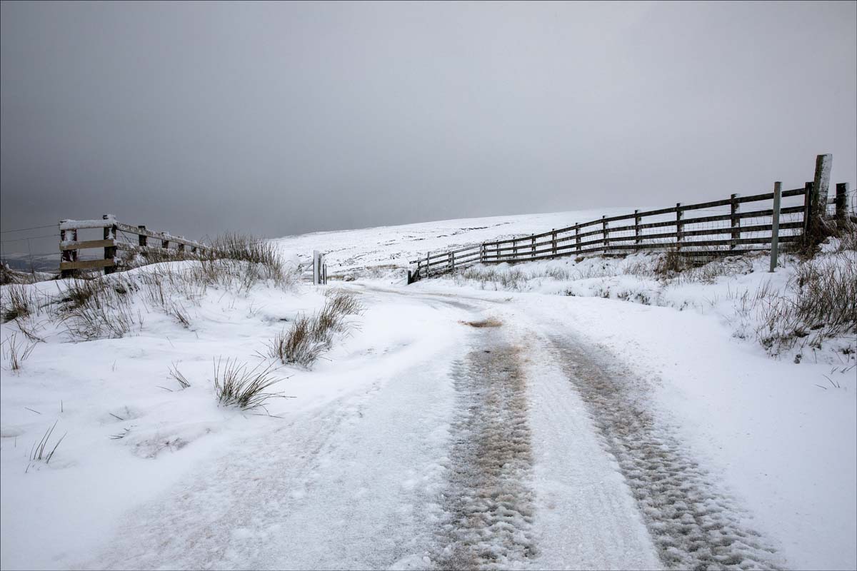 Landscape_044