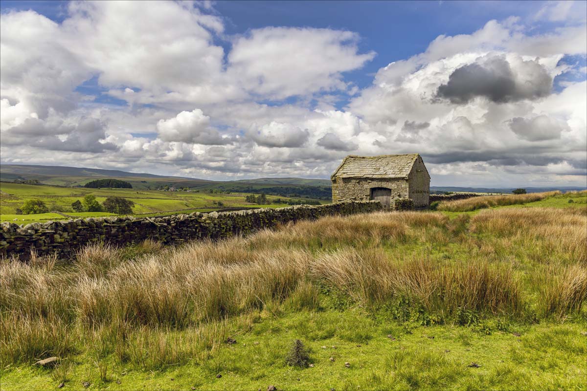 Landscape_049