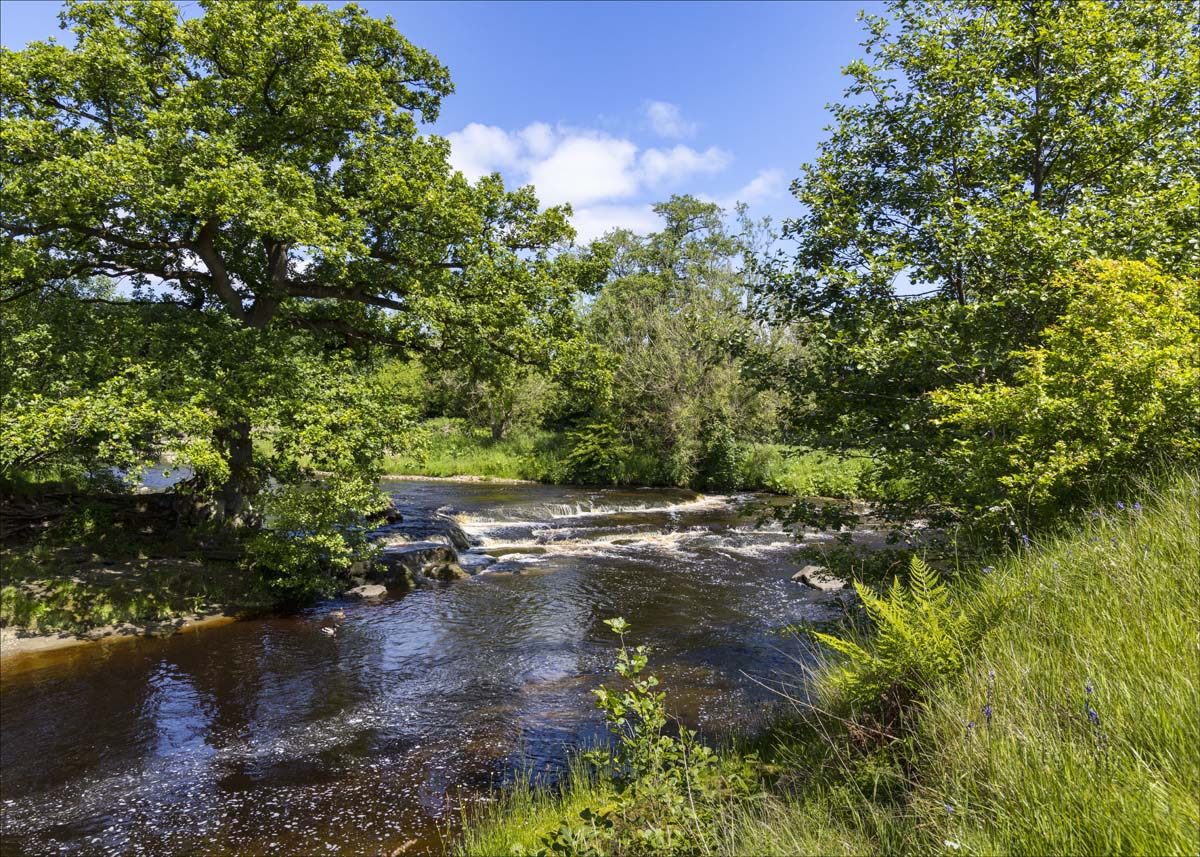 Landscape_050
