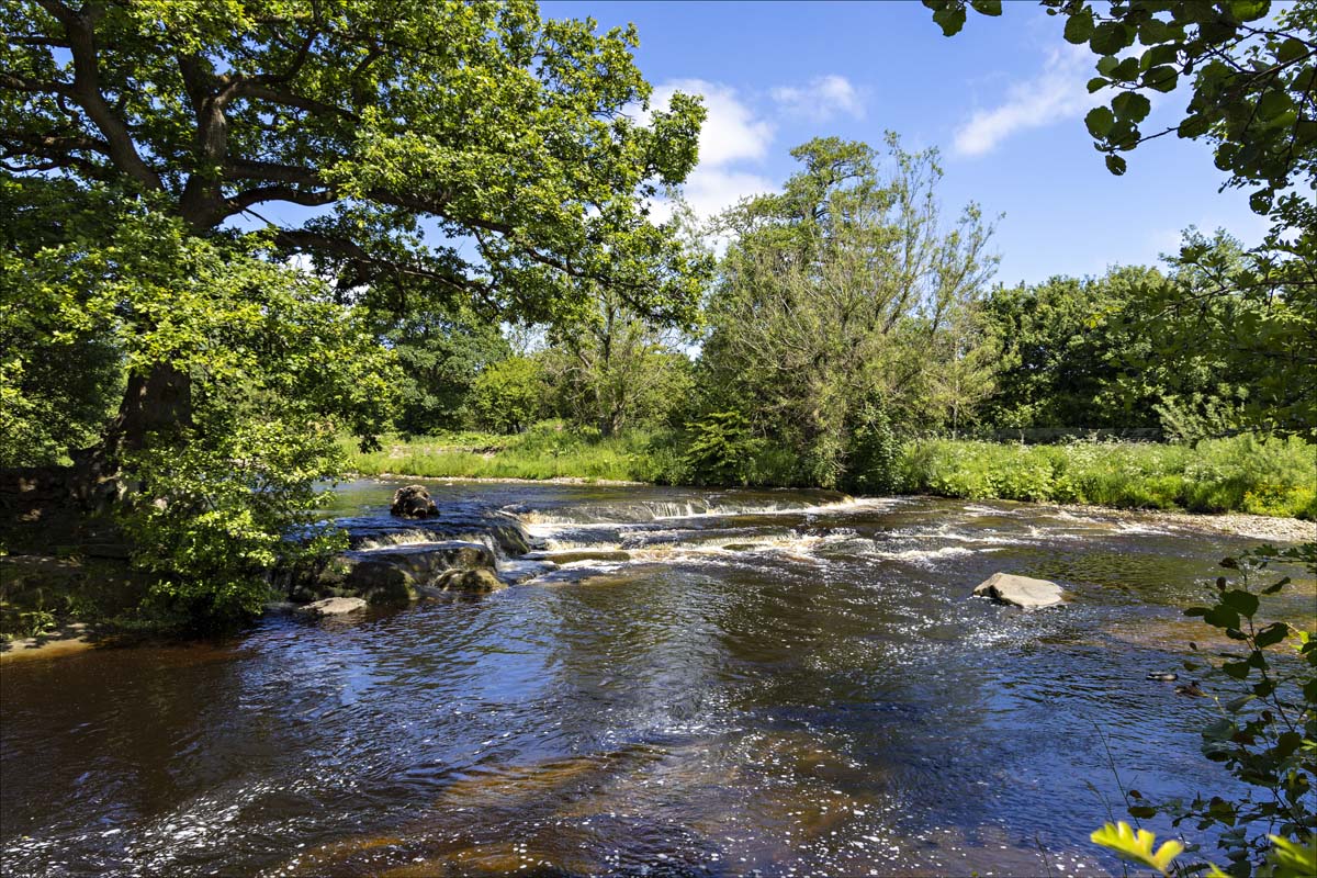 Landscape_051