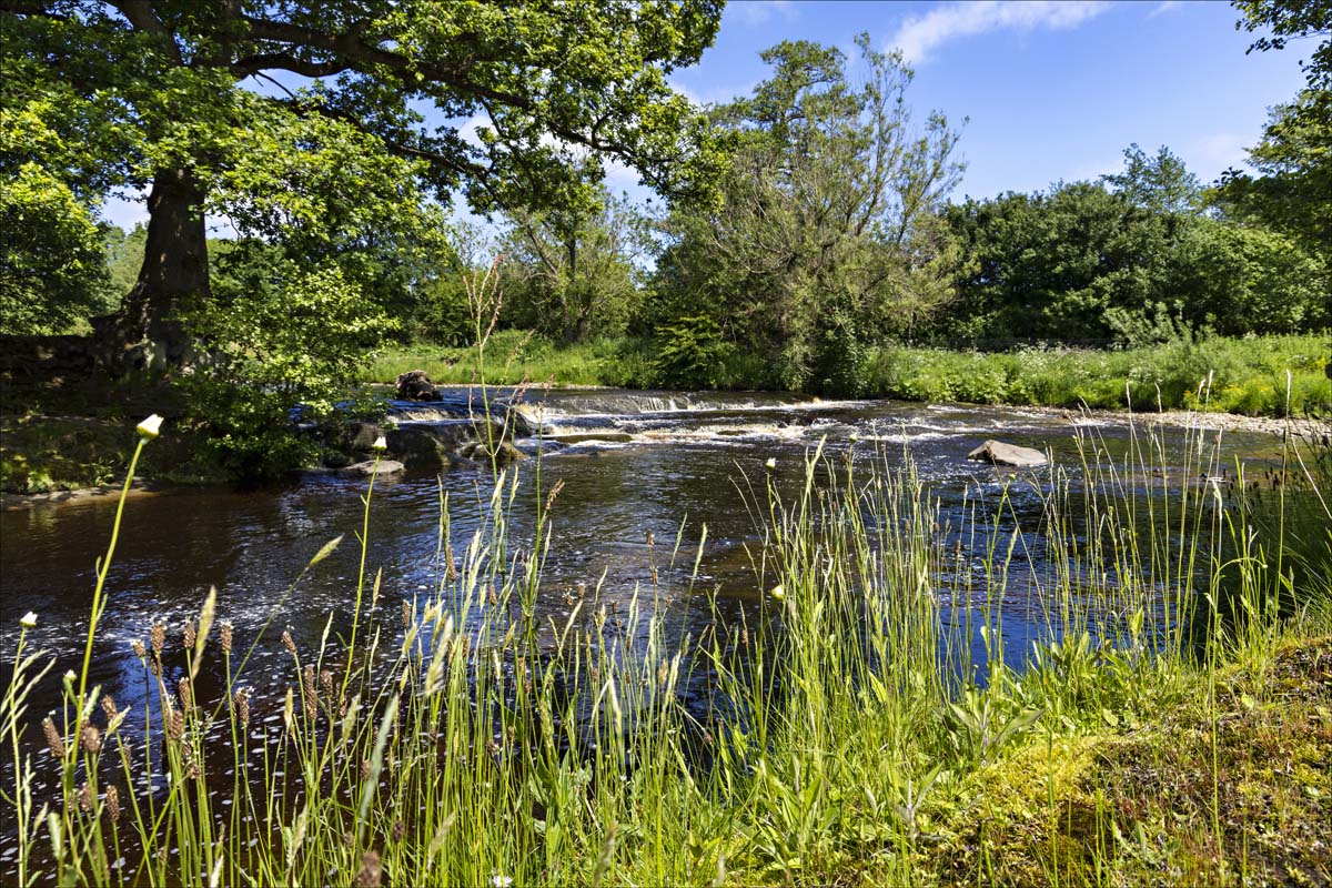Landscape_052