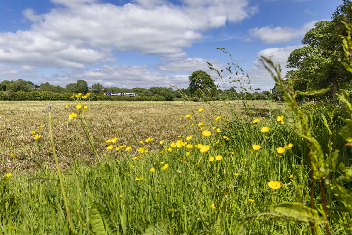 Landscape_053