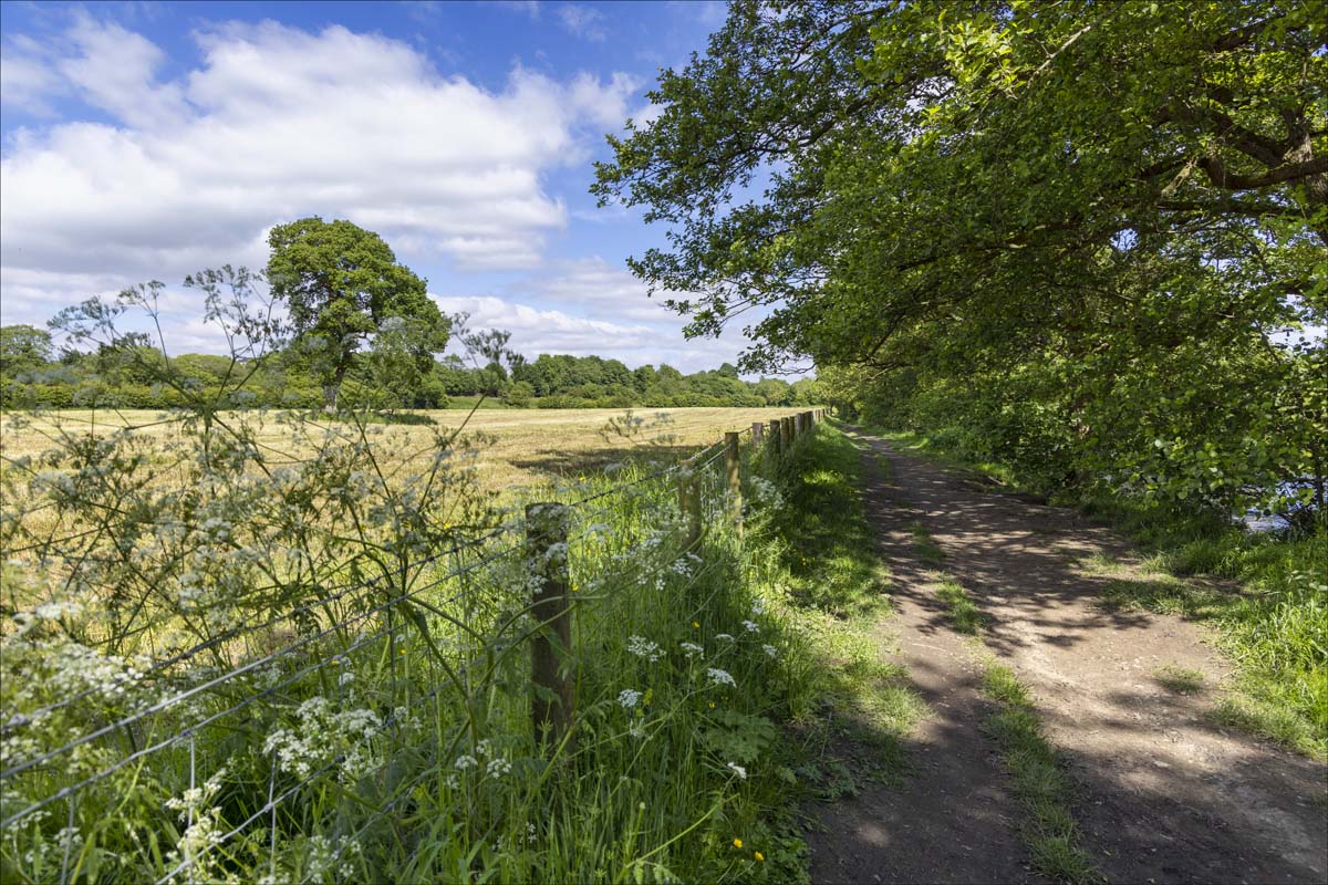 Landscape_054