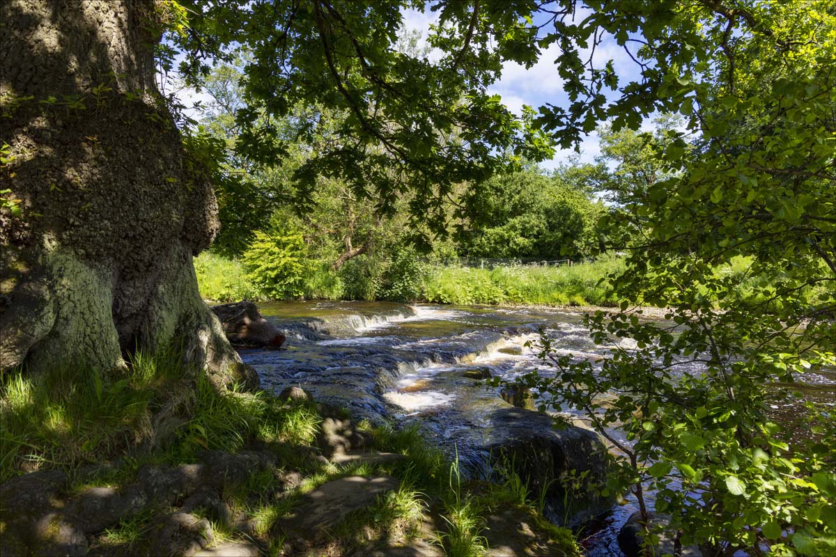Landscape_056