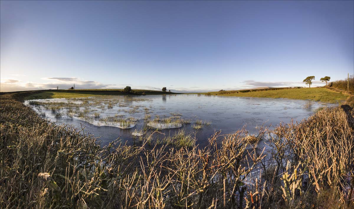 Landscape_061