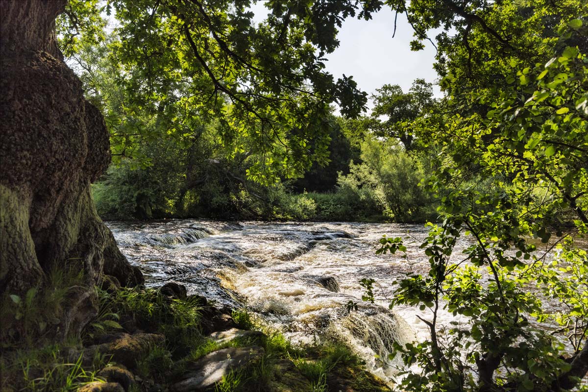 Landscape_062