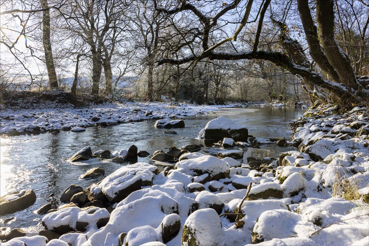 Landscape_070