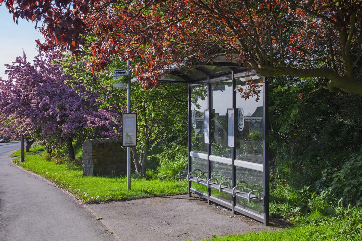 Street_Scene_023