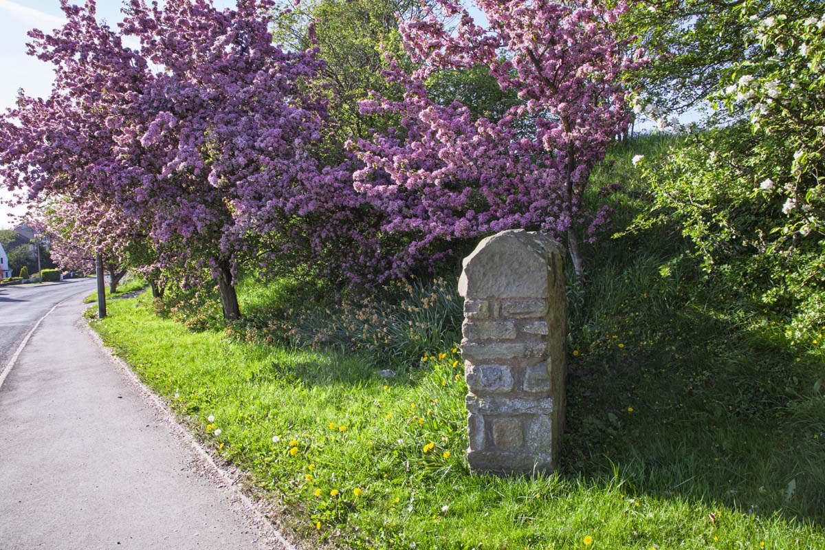 Street_Scene_024