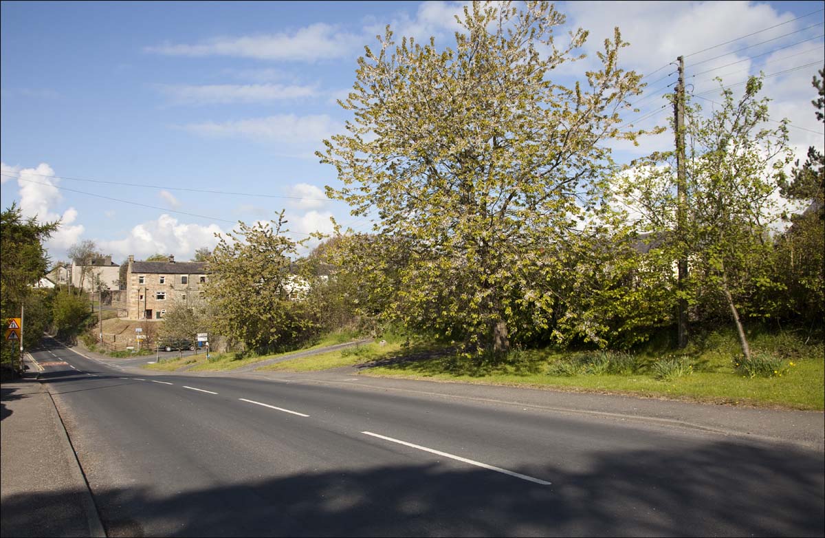 Street_Scene_025